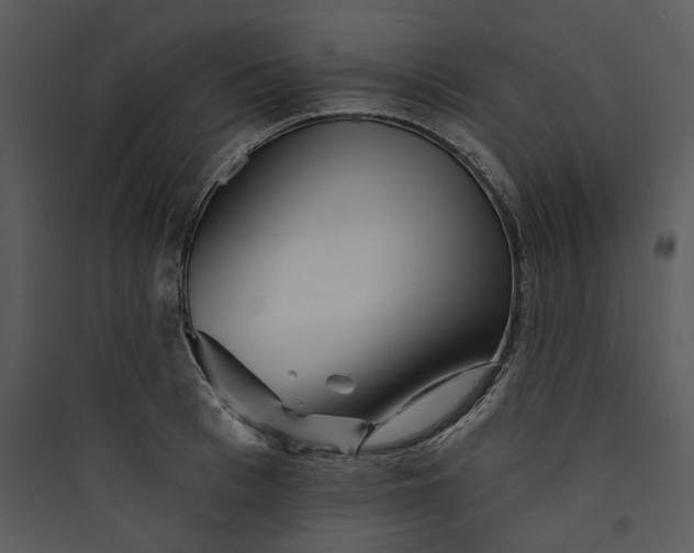 X0000089760993200707121359