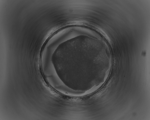 X0000089760994200707121359