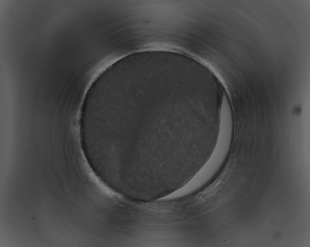 X0000089760995200707121359