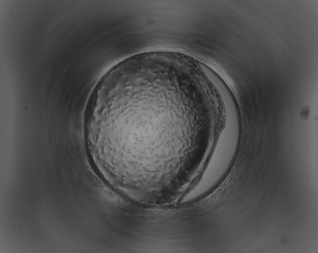 X0000089760996200707121359