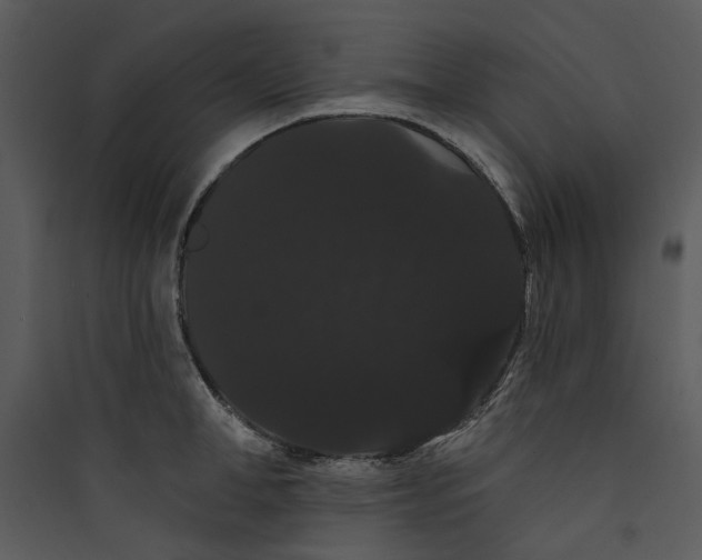 X0000089760998200707121359