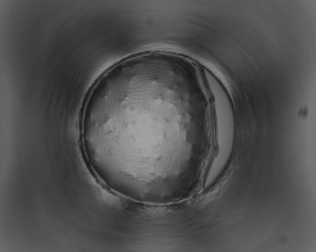 X0000089760999200707121359