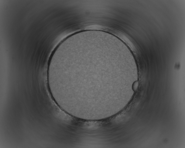 X0000089761000200707121359