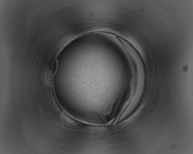 X0000089761001200707121359