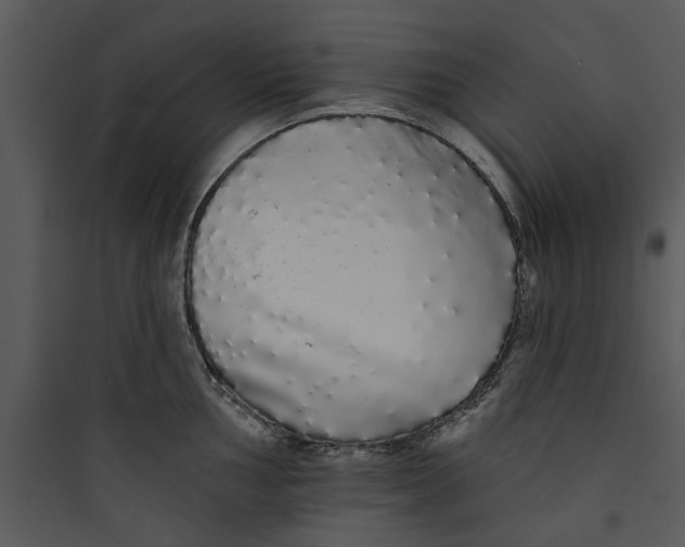 X0000089761002200707121359