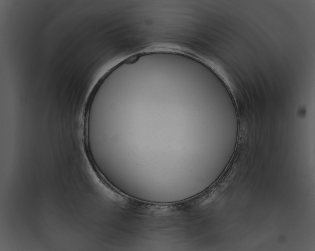 X0000089761003200707121359