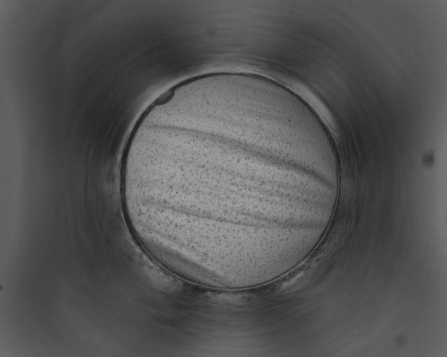 X0000089761004200707121359