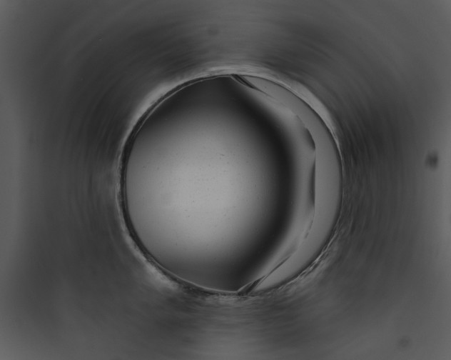 X0000089761005200707121359