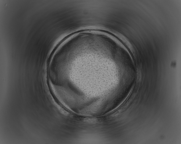 X0000089761006200707121359