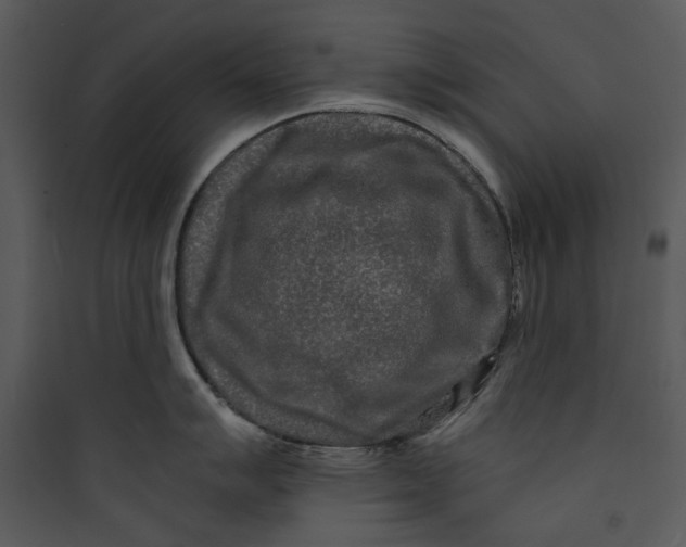 X0000089761007200707121359