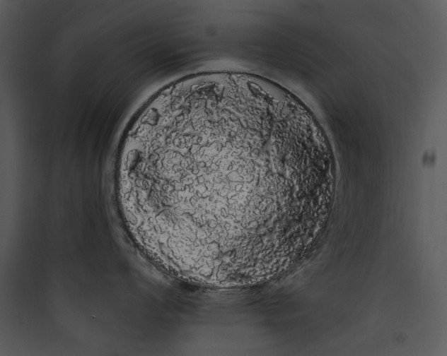 X0000089761008200707121359