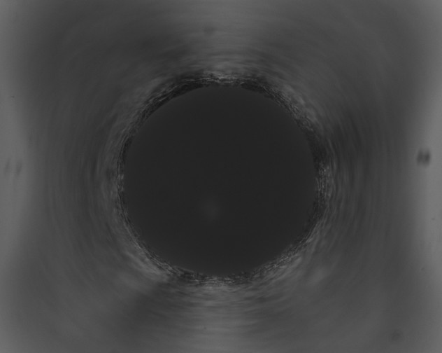 X0000089761009200707121359