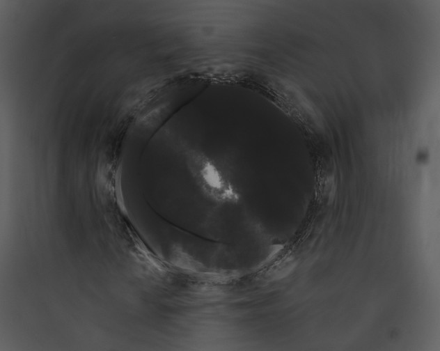 X0000089761010200707121359