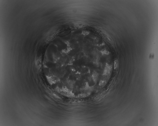 X0000089761011200707121359