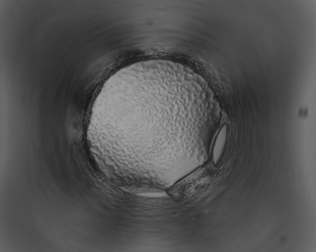 X0000089761012200707121359