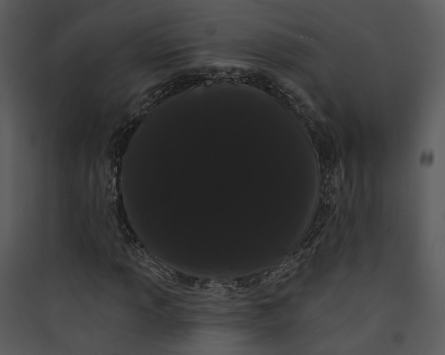 X0000089761013200707121359