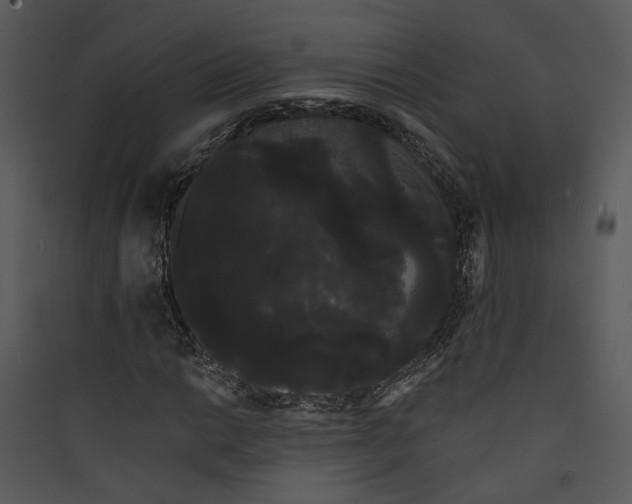 X0000089761014200707121359