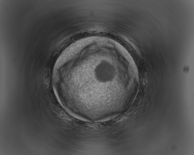 X0000089761015200707121359