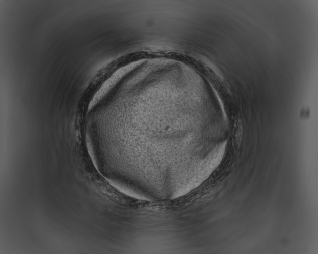 X0000089761016200707121359