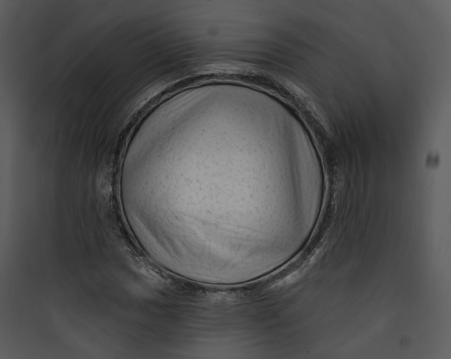 X0000089761017200707121359