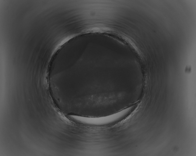 X0000089761018200707121359