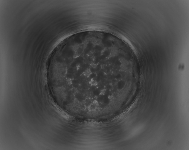 X0000089761019200707121359