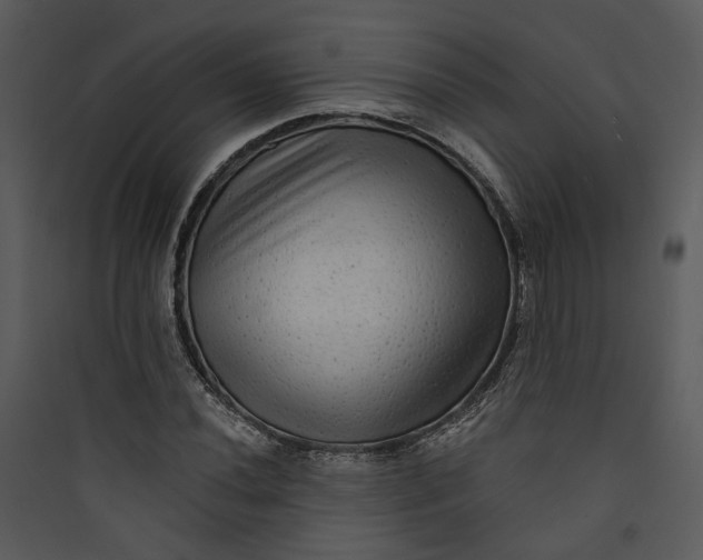 X0000089761020200707121359