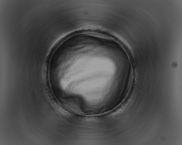 X0000089761021200707121359