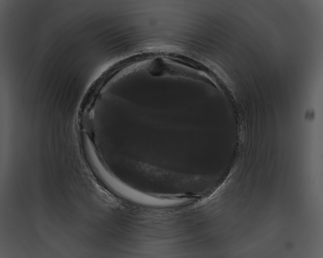 X0000089761022200707121359