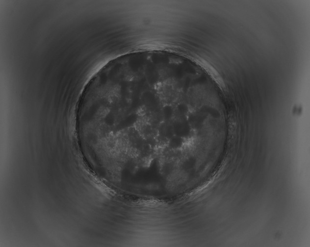 X0000089761023200707121359