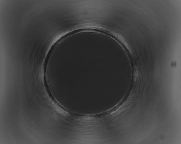 X0000089761024200707121359