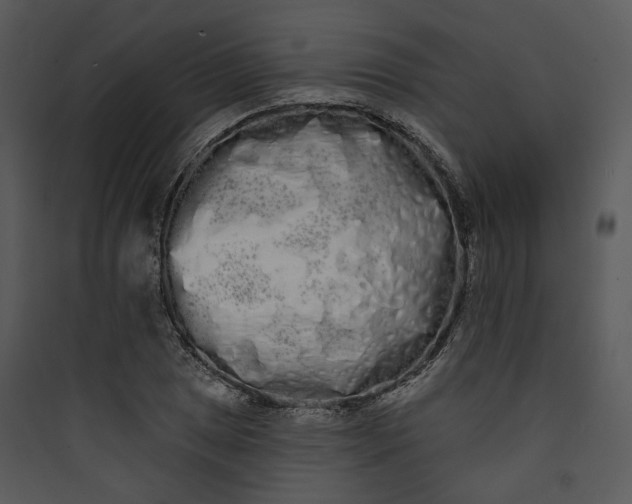 X0000089761025200707121359