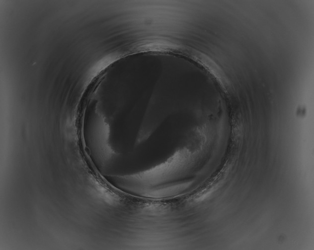 X0000089761026200707121359