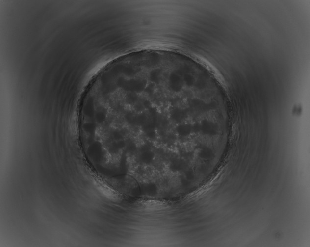 X0000089761027200707121359