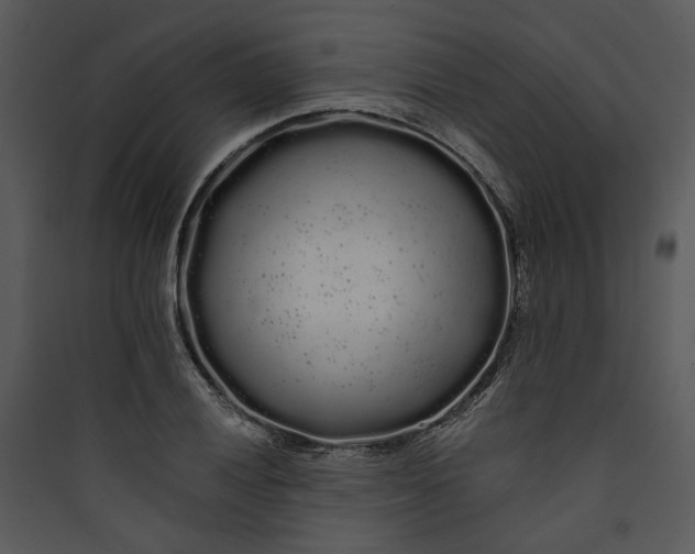 X0000089761028200707121359