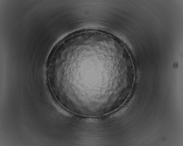 X0000089761029200707121359