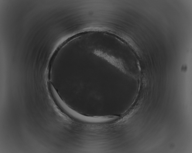 X0000089761030200707121359