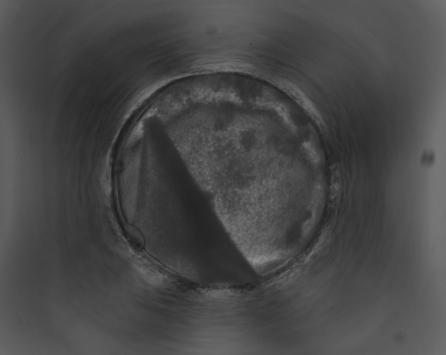 X0000089761031200707121359