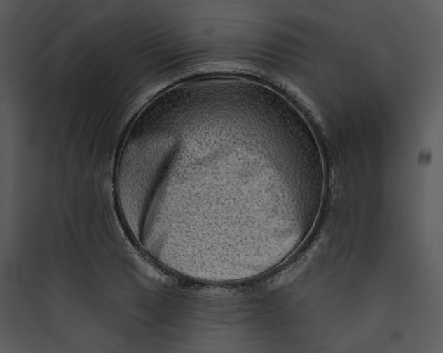 X0000089761033200707121359