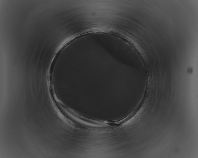 X0000089761034200707121359