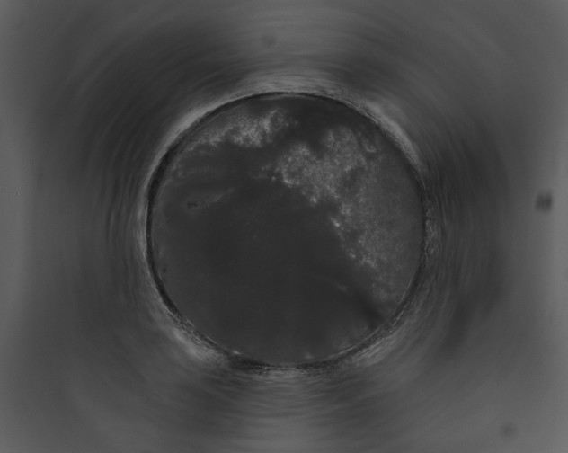 X0000089761035200707121359