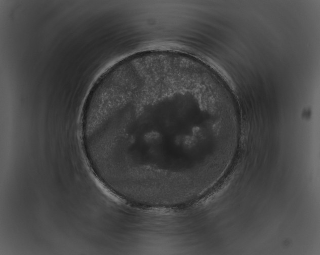 X0000089761037200707121359