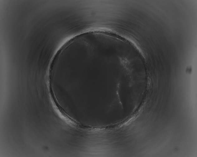 X0000089761038200707121359