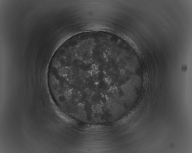 X0000089761039200707121359