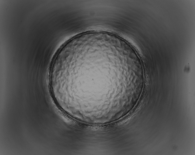 X0000089761040200707121359