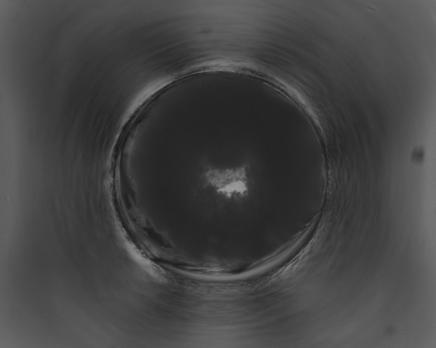 X0000089761042200707121359