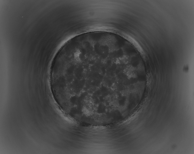 X0000089761043200707121359