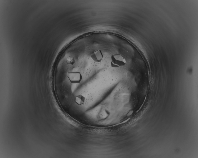 X0000089761045200707121359