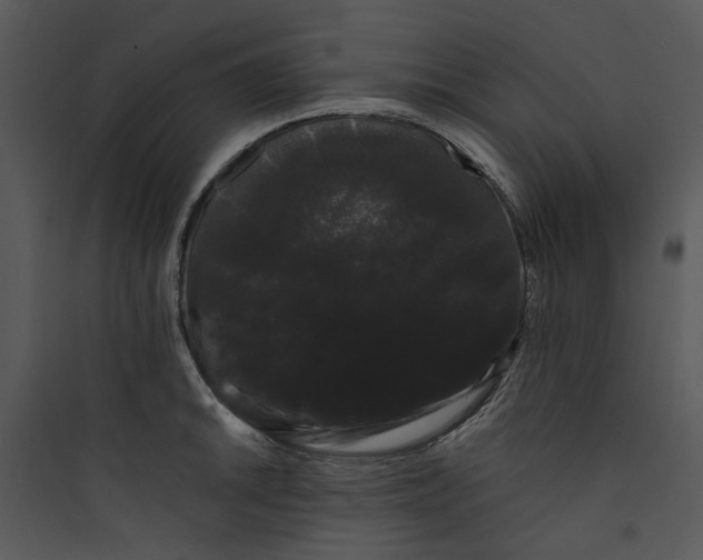 X0000089761046200707121359