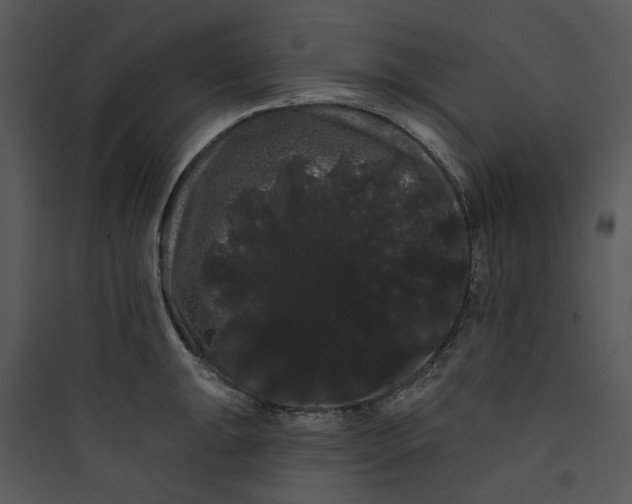 X0000089761047200707121359